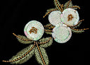 Close-up of the ivory floral sequins and beads on black velvet
